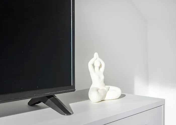 Proche Et Centre Parking Gratuit Apartment Thonon-les-Bains